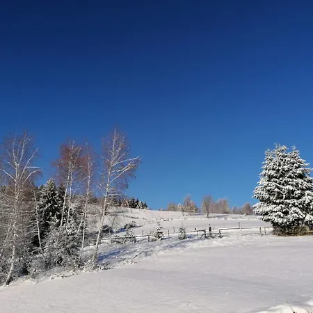 Pernikova Chalupka V Podpolani Holiday home Detvianska Huta
